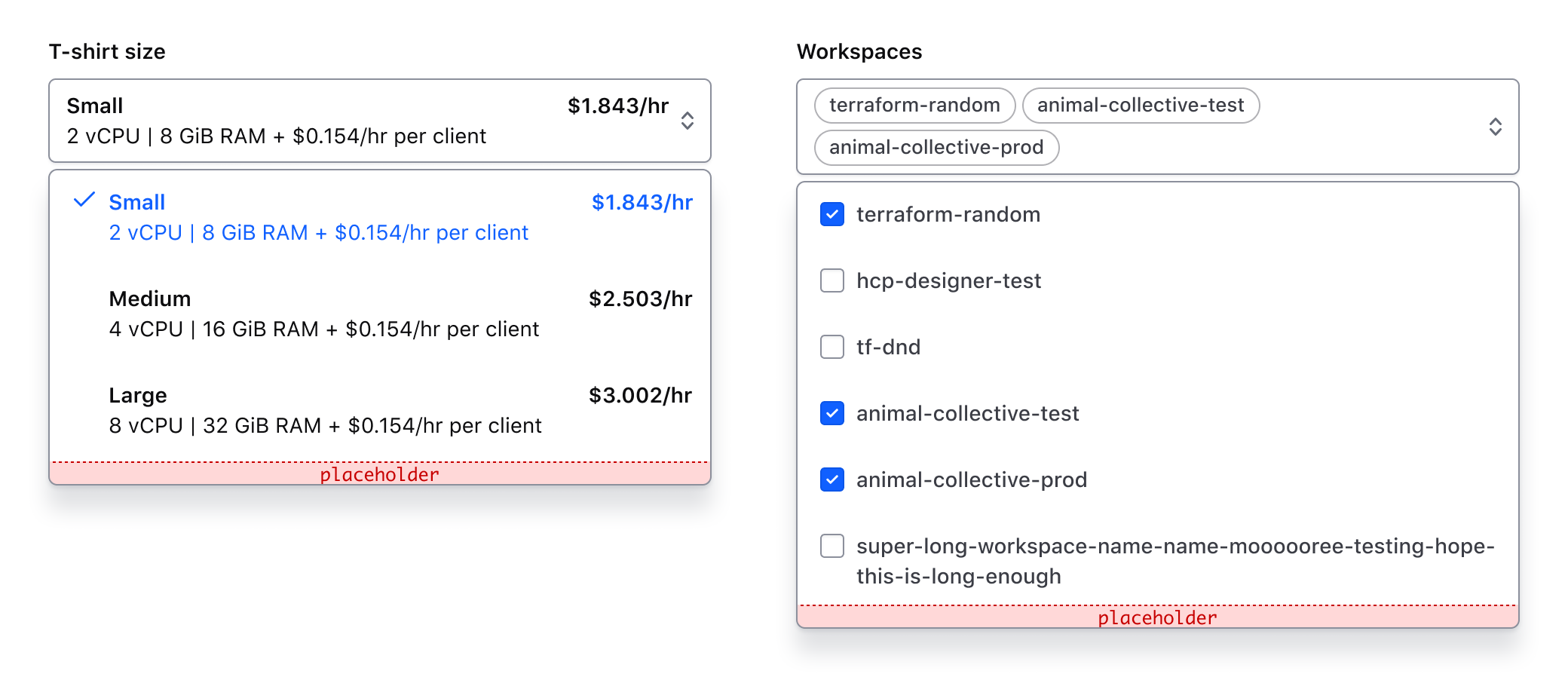 Showing the afterOptions slot with generic content